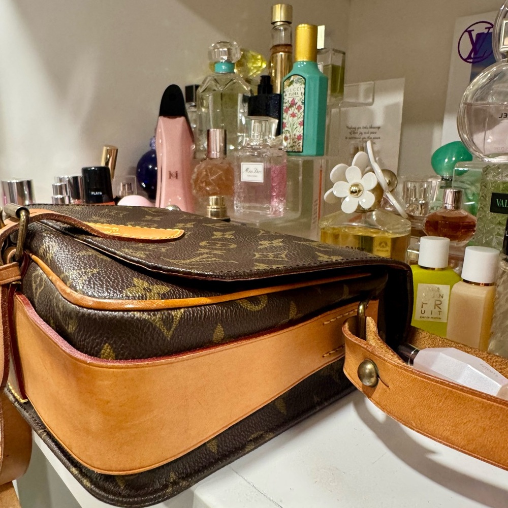 Louis Vuitton Monogram Cartouchiere Canvas MM - Picture 7 of 14